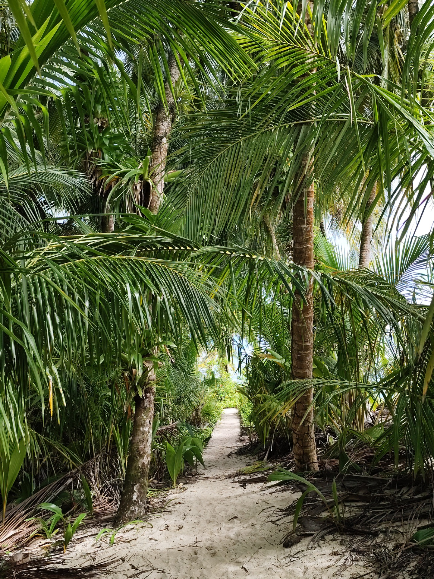 Cayo Zapatillo Credits : La Purita Ecolodge