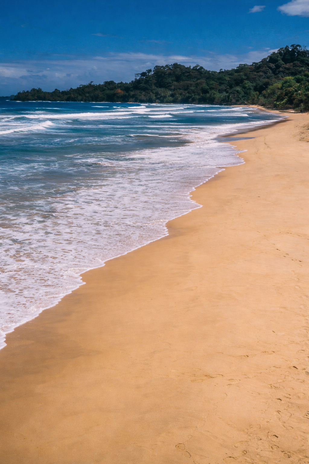 Playa Wizard, Bocas del Toro