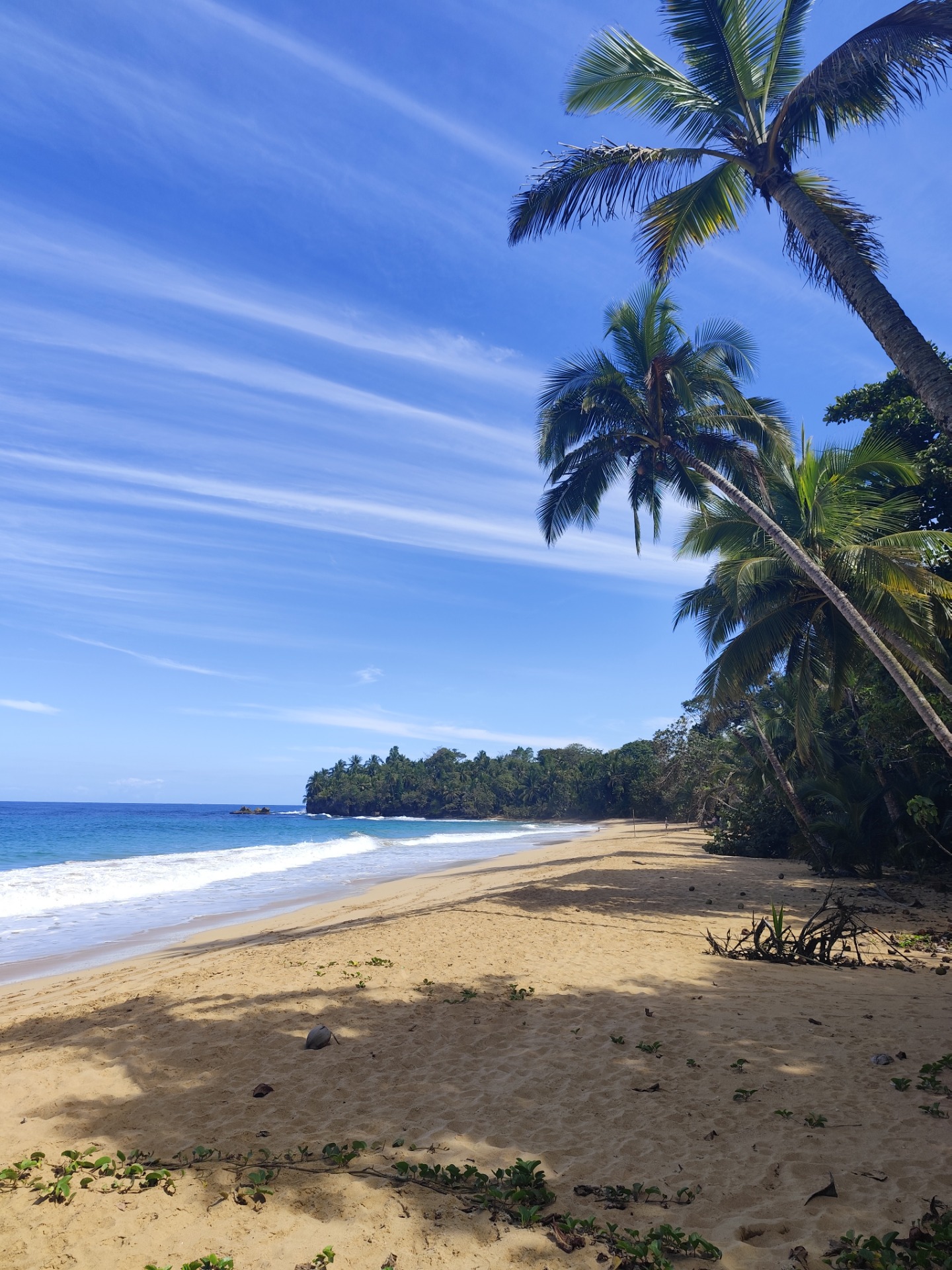 Playa Bluff Credits : La Purita Ecolodge